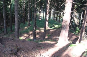 Rousínovský hrádek (© Jiří Čejka, 08/2009)