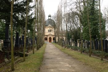  ( © Milan Caha 03/2009)
