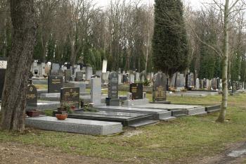 nejnovější - stále používaná - část hřbitova ( © Milan Caha 03/2009)