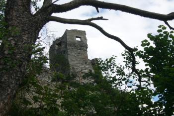 Od řeky (© Jaroslav Šefčík, 03/2009)