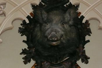 Janův hrad interier (© aleshwarrior, 07/2014)