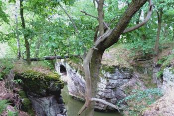  ( © František Kinař 07/2017)