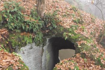 U Mnichovské průrvy (© Jiří Čejka, 11/2009)