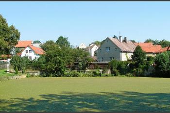 Východní rybníček, pohled k severu ( © Petr Turyna 08/2005)