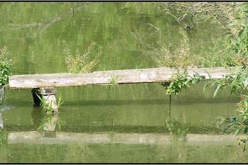 Západní rybník, voda proudí přes tvrziště z výše položeného východního rybníčku ( © Petr Turyna 08/2005)