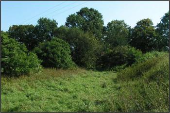 Terénní vlna, která rozděluje pole jižněji od tvze a nivu potoka, kde stávala tvrz. ( © Petr Turyna 08/2005)