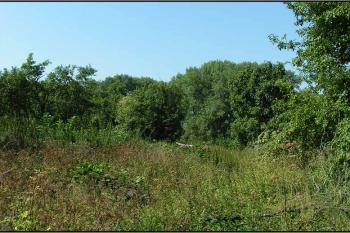 Pohled přes tvrziště - od východního rybníčku k západnímu ( © Petr Turyna 08/2005)