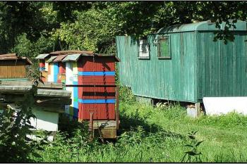 Severní část nivy potůčku, kde se nachází tvrziště. ( © Petr Turyna 08/2005)