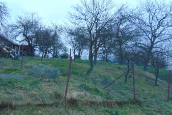 Pohled od jz. na plochu tvrziště s dochovanou jižní hranou (© Dušan Dohňanský  12/2022)
