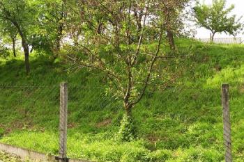 celkový pohled na lokalitu od jihovýchodu ( © Jan P. Štěpánek 05/2008)