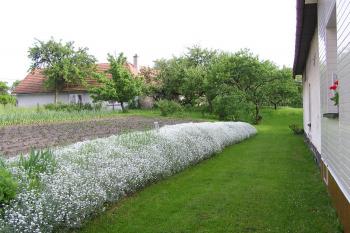 pohled od vstupu do zahrady při domě čp. 9 k domu čp. 8 v pozadí (© Jan P. Štěpánek 05/2008)