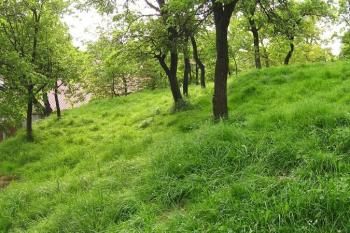 jižní část lokality s výraznou hranou pozůstatků pahorku jádra a terasou, která je pozůstatkem příkopu a valu (© Jan P. Štěpánek 05/2008)