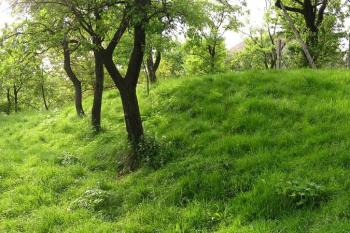 jihozápadní okraj jádra tvrziště (© Jan P. Štěpánek 05/2008)