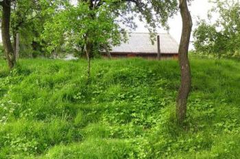 celkový pohled na pozůstatky tvrziště od jihu (© Jan P. Štěpánek 05/2008)