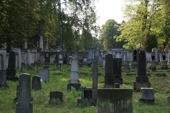  (© Petr Nožička, 9/2009)