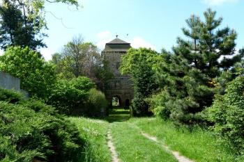 Tuchoraz (hrad) ( © František Kinař 05/2017)