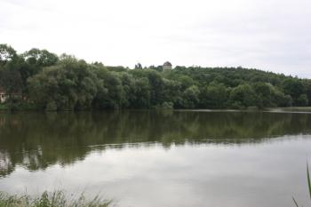 Pohled k tvrzi přes Tuchorazský rybník ( © Ivan Grisa 06/2010)