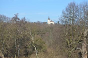  ( © Jiří Čížek 02/2012)