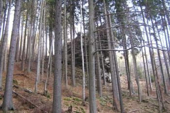 Pohled z údolí Bílého potoka na hskálu s hradem ( © Jan P. Štěpánek 12/2006)