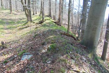 Linie jz.hradby (© Dušan Dohňanský  04/2021)