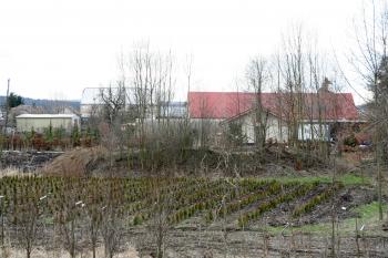 Tvrziště od železnice (© Petr Nožička, 03/2009)