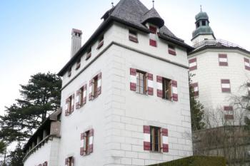 věž chránící někdejší vstup k Hornímu zámku ( © Jan P. Štěpánek 03/2009)