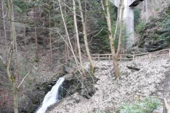 romanticky upravený anglický park ( © Jan P. Štěpánek 03/2009)