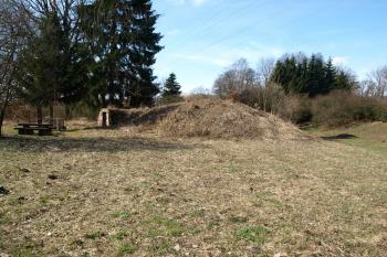 tvrziště od jihovýchodu ( © Milan Caha 03/2009)