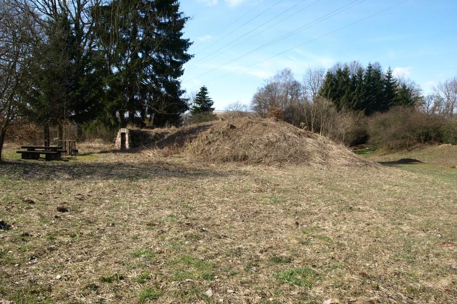 Javorník