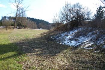 východní svah jádra tvrziště ( © Milan Caha 03/2009)