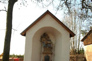 čelní pohled ( © Milan Caha 03/2009)