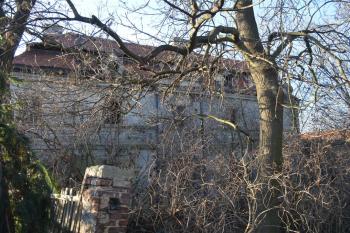  ( © Jiří Čížek 02/2012)