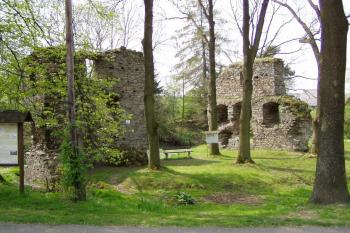 Zříceniny od severovýchodu (© Lukáš Pechánek, 04/2011)