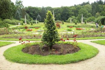 růžová zahrada (© Nikola Mildová, 09/2008)