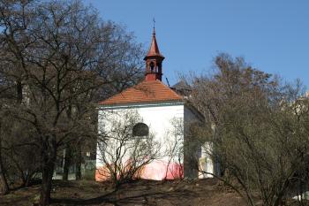  ( © Milan Caha 04/2009)