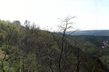  (© klobouk, 04/2010)