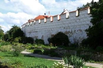 Zbytky hradeb na severním okraji městského jádra (naproti Bertiným lázním) (© Jiří Cukr, 08/2010)
