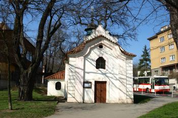 čelní pohled ( © Milan Caha 04/2009)