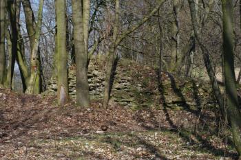 Pohled z jádra na zbytek hradby v severovýchodním cípu tvrziště (© Petr Šantrůček, 04/2009)