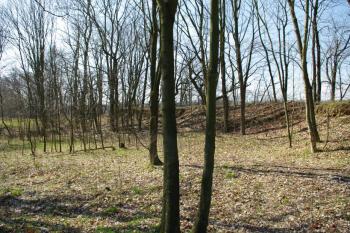 Pohled od východní hradby přes jádro na severozápadní roh (© Petr Šantrůček, 04/2009)