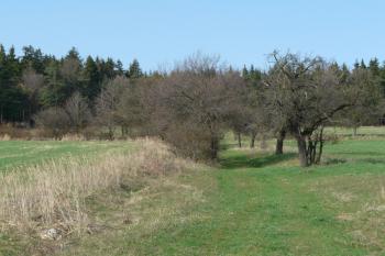 Cesta na Bradlo je pořád do kopce (© Jaroslav Šefčík, 04/2009)