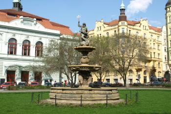  ( © Milan Caha 04/2009)