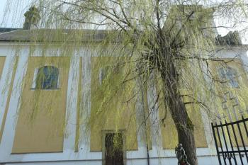 Pohled od hřbitovní zdi na bok chrámu (© Jaroslav Šefčík, 04/2009)