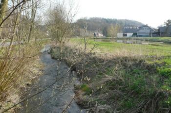 Břeh mezi hlavním náhonem a rybníkem (© Jaroslav Šefčík, 04/2009)