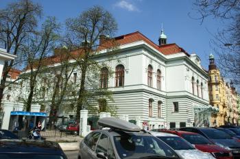  ( © Milan Caha 04/2009)