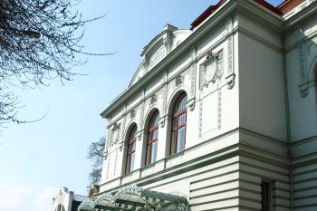  ( © Milan Caha 04/2009)