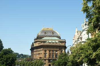  ( © Milan Caha 07/2009)