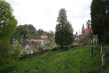Pohled ze hřbitova na město ( © Ivan Grisa 05/2008)