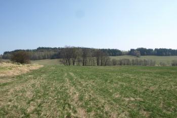 hřbitov od západu ( © Milan Caha 04/2009)