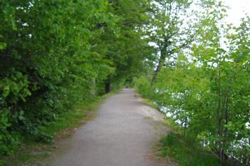 hráz rybníka (© Miroslav Šamal, 06/2007)